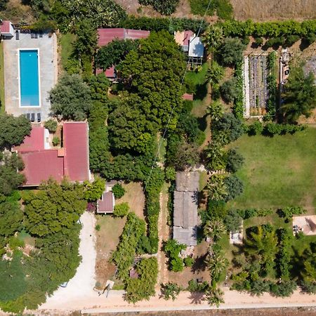 Cottage Sul Lago - Officina Didattica دونّالوكاتا المظهر الخارجي الصورة