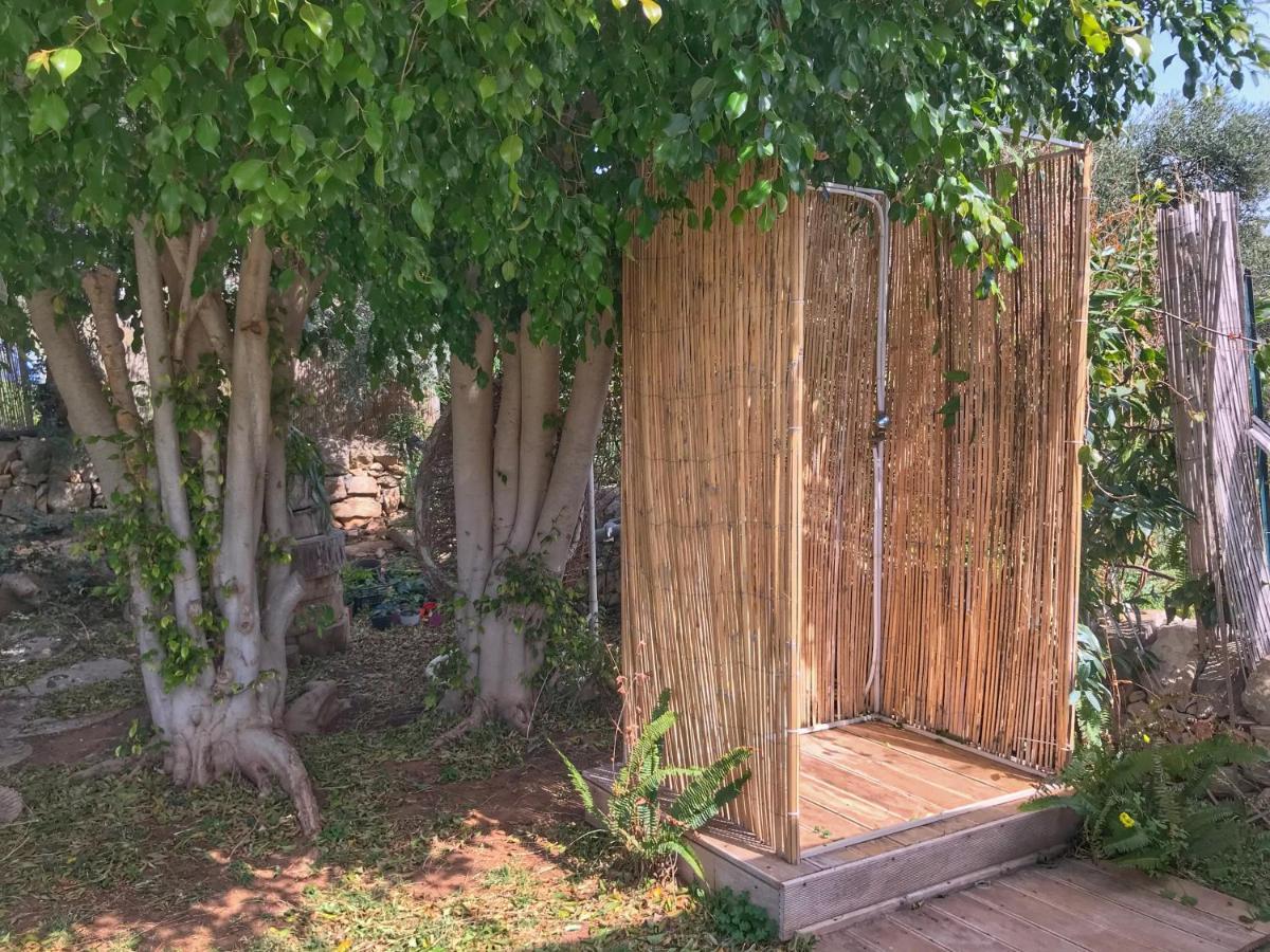 Cottage Sul Lago - Officina Didattica دونّالوكاتا المظهر الخارجي الصورة