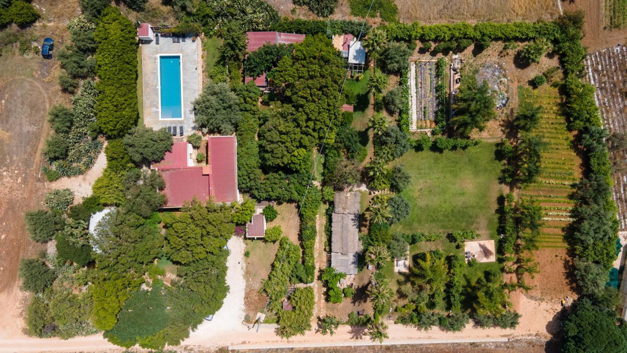 Cottage Sul Lago - Officina Didattica دونّالوكاتا المظهر الخارجي الصورة