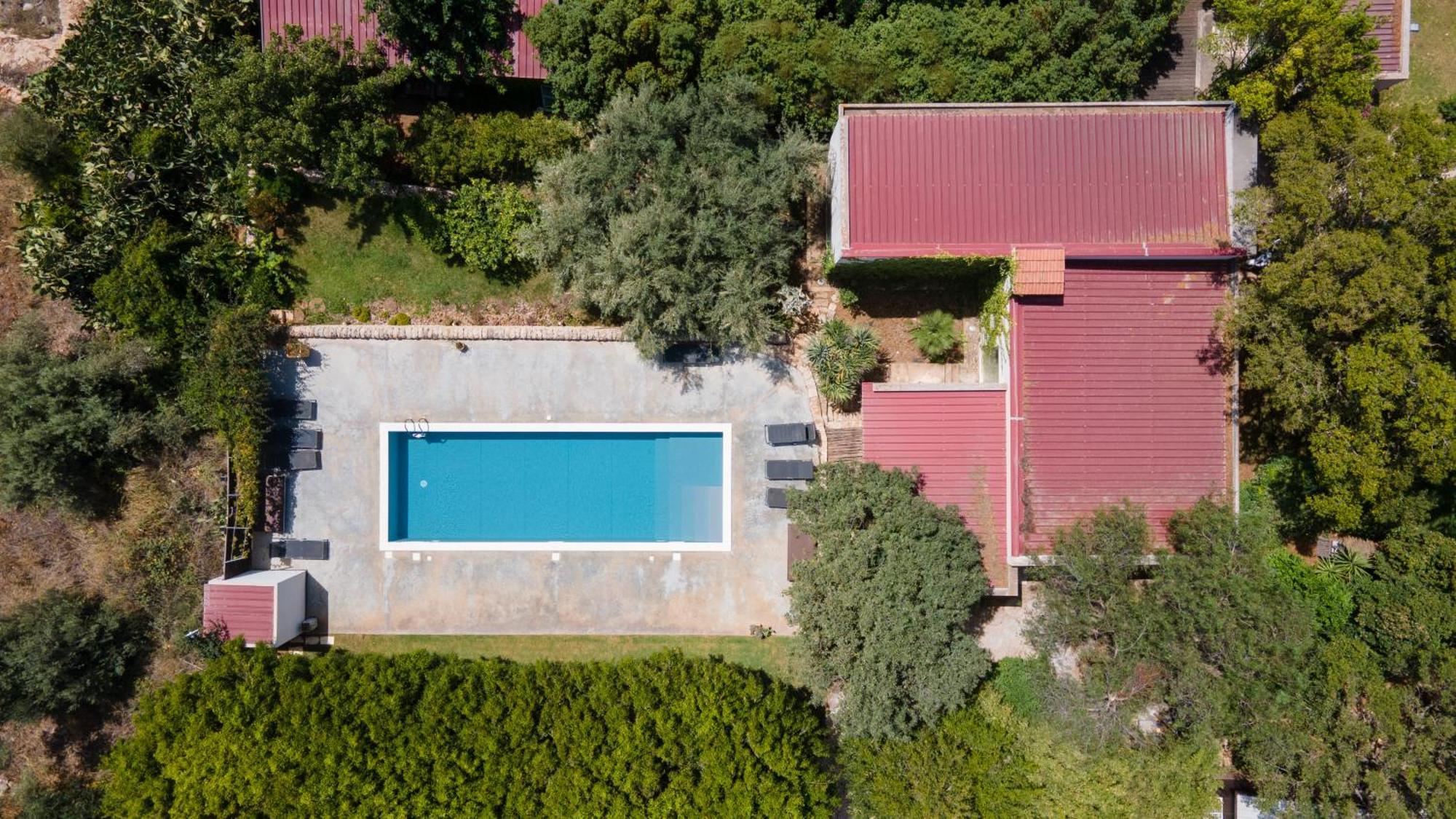 Cottage Sul Lago - Officina Didattica دونّالوكاتا المظهر الخارجي الصورة