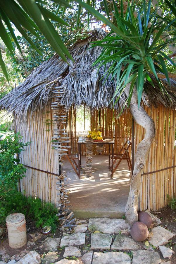 Cottage Sul Lago - Officina Didattica دونّالوكاتا المظهر الخارجي الصورة